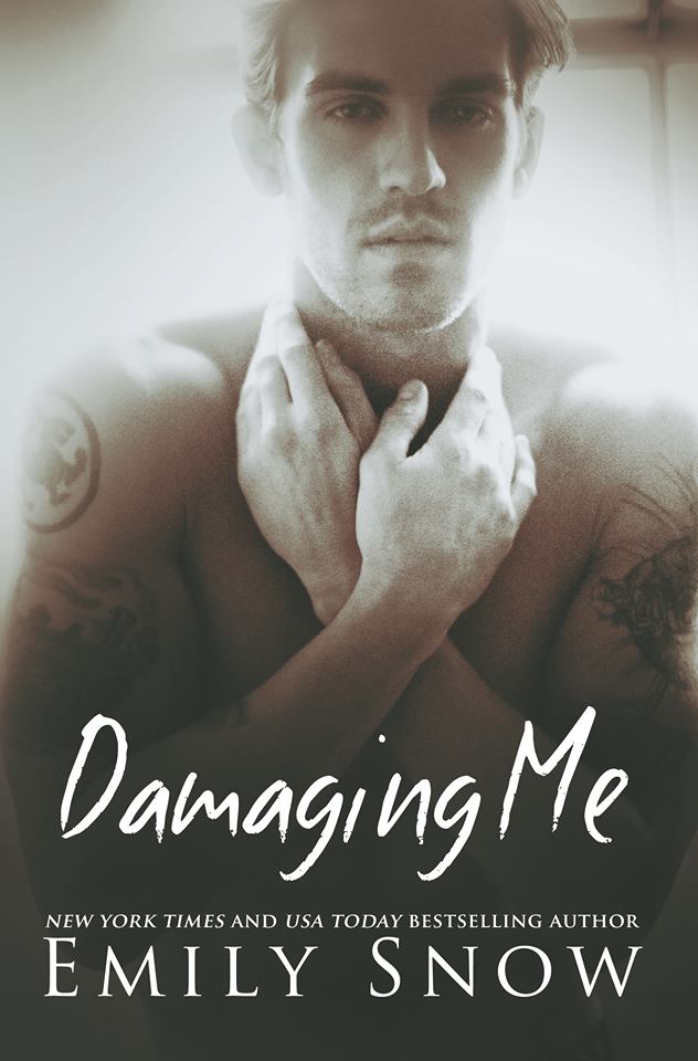 Damaging Me Cover.jpg