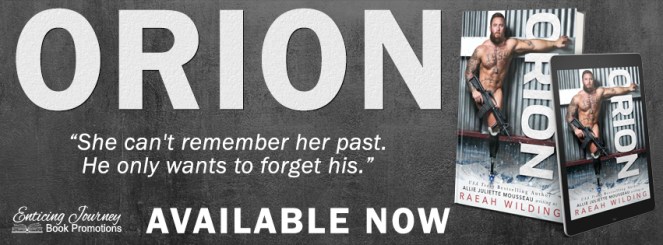 Orion blast banner.jpg