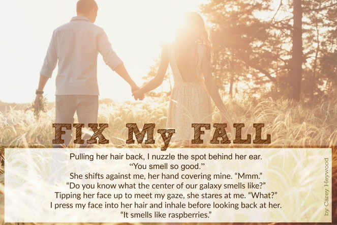 Fix My Fall Teaser 3.jpg